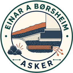 Einar A Børsheim logo